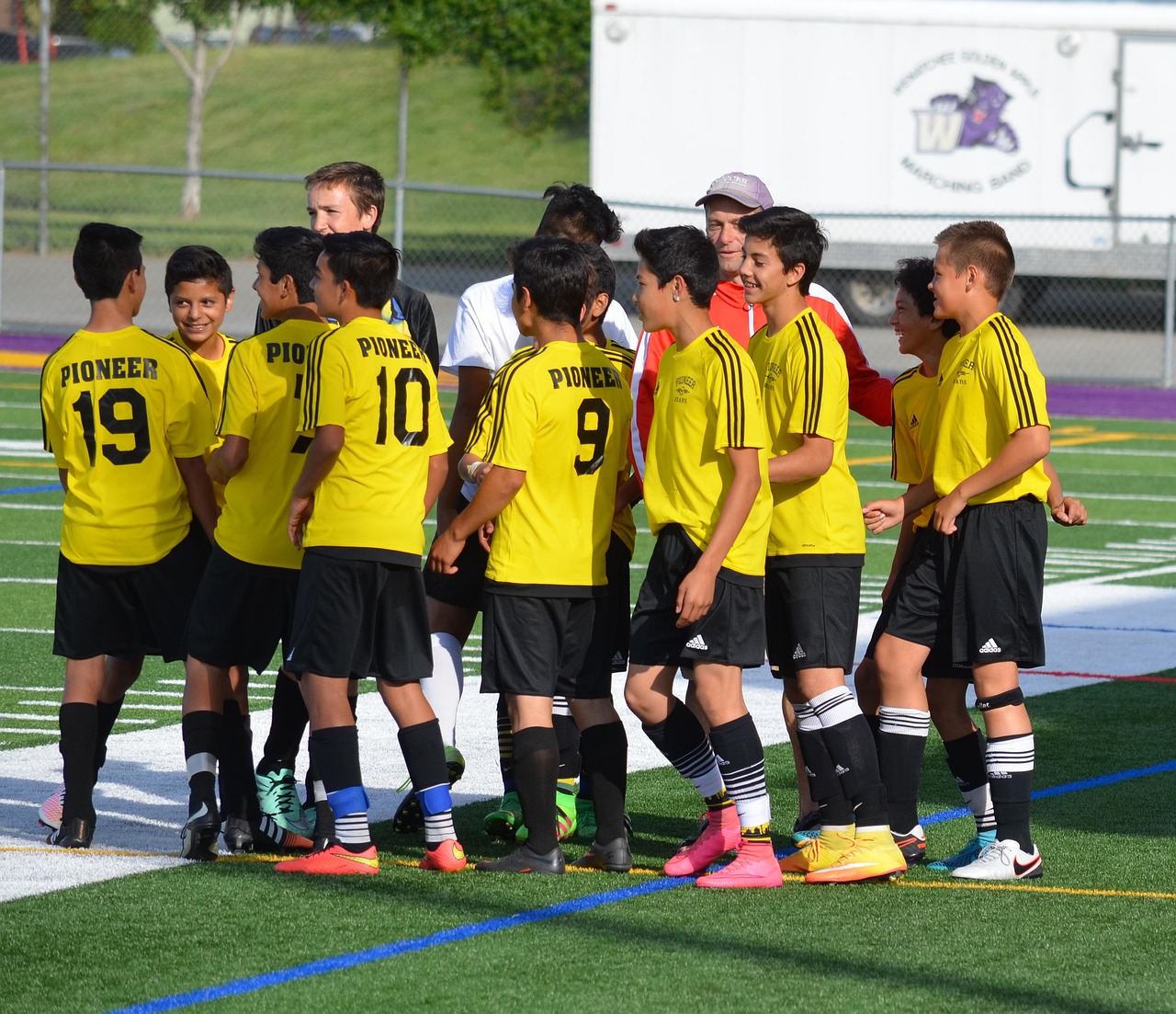 圣斗士星矢重生：拱墅区财务记账代理平台