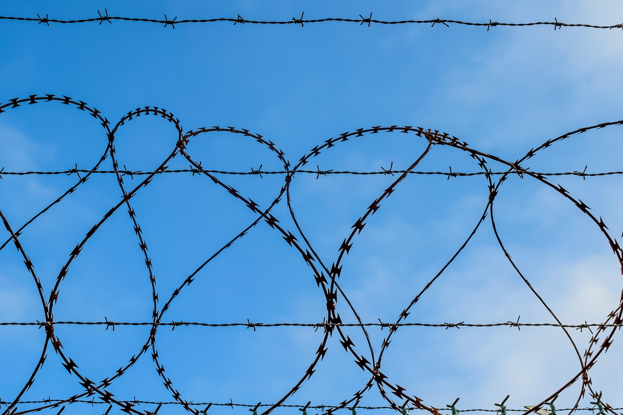 美团美卡实名账号：上海团购买菜平台电话